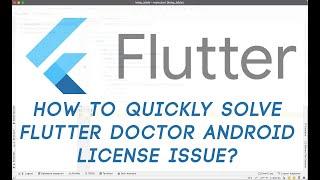 HOW TO QUICKLY SOLVE Flutter Doctor Android license issue?