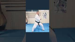 Naifanchi Nidan by Masahide Ishijima Shihan, Kyokushin kan #martialarts #karate #kata #kyokushin