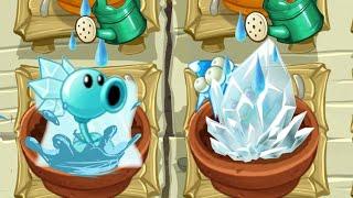 All Animation Ice Plants In Zen Garden - Plants Vs Zombies 2