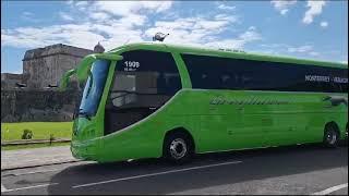 greyhound de Mexico