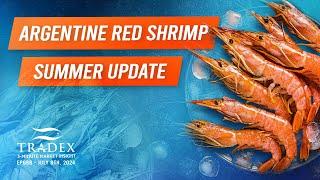 3MMI - Argentine Red Shrimp Summer Update: Harvest, Prices, MSC