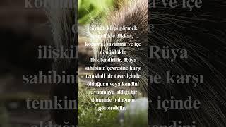 Rüyada Kirpi Görmek #ruyatabirleri #rüyalaracevap #rüyatabirleri #keşfet #keşfetbeniöneçıkar