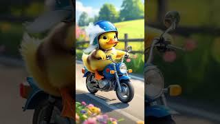 Bebek naik motor #funny #duck