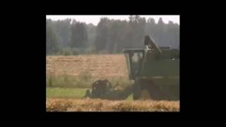 Wheat Harvest Combining and Unloading the Grain FarmsTV