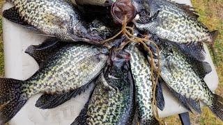 Crappie Fishing with Cork and Jig