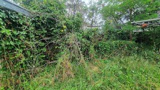 Neighbours Were SICK of LOOKING at the BIGGEST Overgrown JUNGLE in the CITY