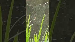 Над водой #рыбалка