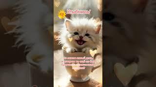 Доброе утро,хорошего дня открытки на каждый день #открытка #доброеутро #видеооткрытка #доброеутречко