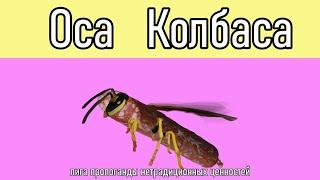 Оса - Колбаса_Wasp - Sausage