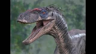 male velociraptor (JP3) sound effect