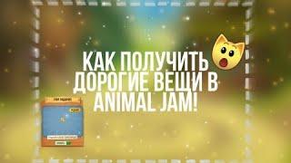 Где купить ДОРОГИЕ ВЕЩИ в Animal Jam?! #AnimalJam #Ajpw