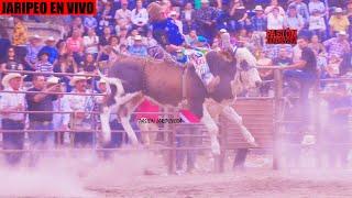  Jaripeo en Vivo en TIERRA CALIENTE  GANADERÍA LA YURIRENSE DE PEDRO GAVIÑA 17 Septiembre 2024