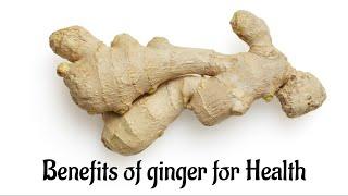 What does Ginger do for the body? || HEALTHY LIVING SECRETS