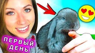 ПЕРВЫЙ ДЕНЬ ДОМА НОВЫЙ ПИТОМЕЦ КРОЛИК ЛИЗУН ЭЛЛИ ДИ | Elli Di Pets