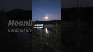 Moonlit | Cardinal River in Motion #chill #coolviews #utvlife #moonlight #nightride