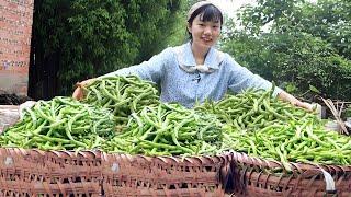 80 cents 1 kilogram of green beans  the girl bought 200 kilograms of sun-dried  full of two baskets