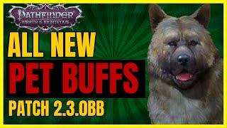 PF: WotR - All NEW PET BUFFS & Changes - Patch 2.3.0bb