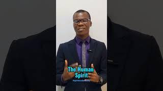 The Makeup of a Human Being