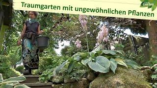 Ein Traumgarten voller ungewöhnlicher Pflanzen | MDR Garten