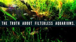 Creating A FILTERLESS AQUARIUM Using Anoxic AND Aerobic Bacteria. How to Setup A Natural Fish Tank