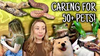 My Daily Routine With 50+ Pets!! (Vlog Style)