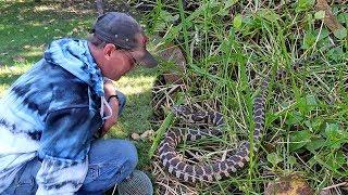 There's a Snake in our Yard!