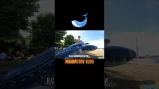 полное видео тут #jekamahmutov #mahmutov #махмутов #жекамахмутов #влог #vlog