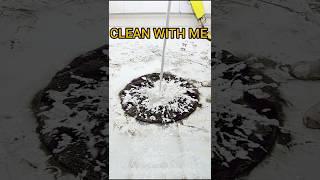 The most fascinating ASMR carpet cleaning