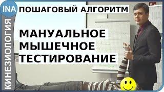 Мануальное мышечное тестирование. Краткий алгоритм. Прикладная кинезиология