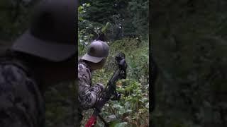 Bull Elk at 7 Yards #ElkHunting #Elk