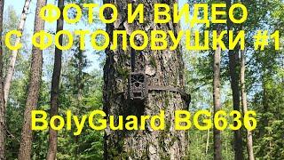 Фото и Видео с Фотоловушки #1 от BolyMedia - BolyGuard ( Болигард ) BG636 весна )