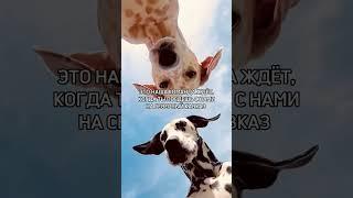 Лучший отдых - в горах Кавказа