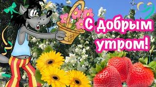 С Добрым Утром и Хорошим Днём! Пусть день будет счастливым! Красивая Открытка Пожелание Доброе Утро!