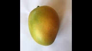 Alex's Favorite Mango