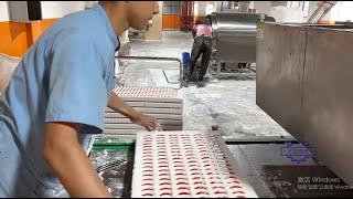 Starch/Mogul Line to make different typys of gummy candy#machine#machinefactory#candy#candy making