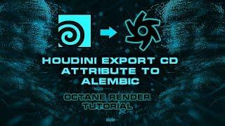 HOUDINI EXPORT Cd ATTRIBUTE TO ALEMBIC