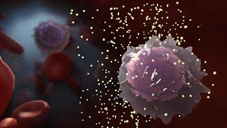 Medical Animation: HIV and AIDS