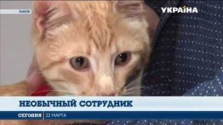 Во Львовском доме-музее Ивана Франко - новый сотрудник