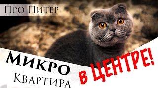 Микро квартира В Центре!!! Обзор квартиры. Про Питер.