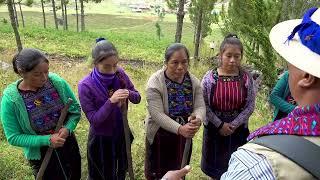 Gestión de áreas protegidas en Huehuetenango.