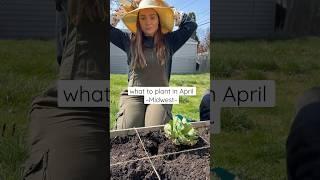 what to plant in April  #gardening #zone6 #gardeningtips #beginnergardener #planting #gardening101