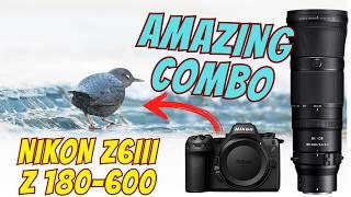 Why I Love This Combo: Nikon Z6III & Z 180-600 in Action!