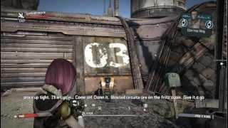 Играем в Borderlands (coop) ч.01