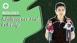 Adolescence and Puberty | Biology