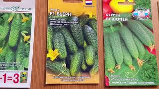 Самые урожайные и вкусные огурцы. Они проверены годами. ТОП-5 лучших.