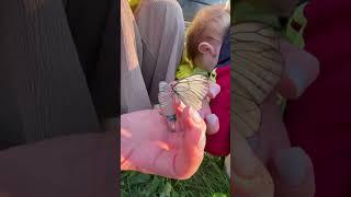 Личинка короеда ? #насекомое #лето #вдеревне