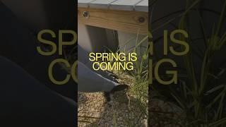 Who is ready for Spring? Gear up for the spring season with CharGuy Gear #spring #garden #gardening