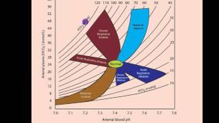 Part 2: Acidosis and Alkalosis: Metabolic or Respiratory.mp4