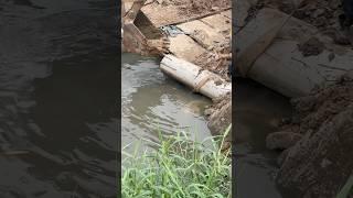 Shot3 Pull out the water hose to divert the water. #operationdrywater #firstdistrict #citizenpatrol