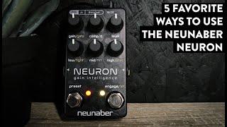 Neunaber Neuron Gain Intelligence - Digital Dirt Done RIGHT! (Stereo)